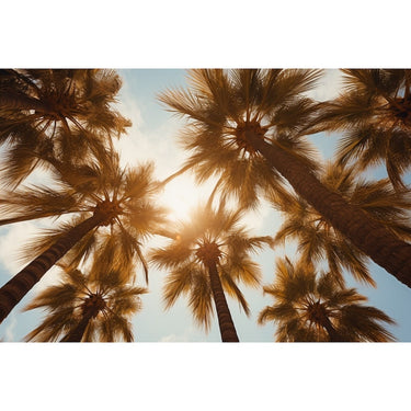 Palm Trees canvas